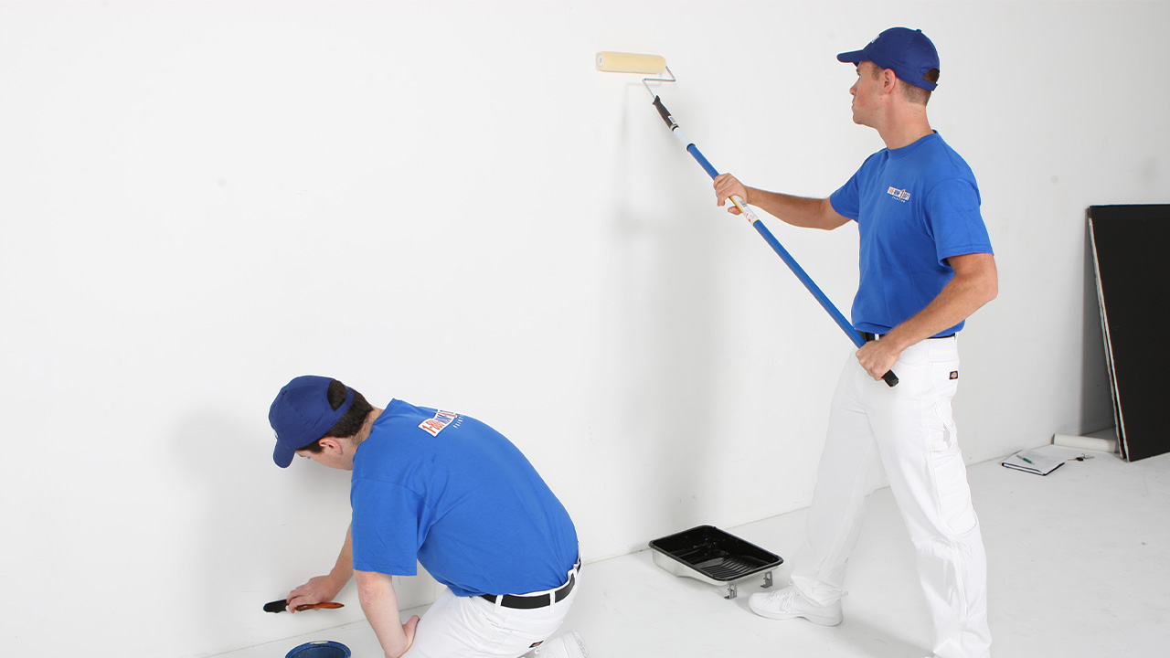 Alaplı Boya Badanacı